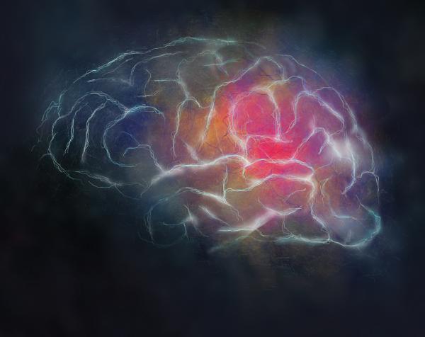 Rich Blonna Sex Mind Brain Seksuele respons Onderwijs Erogenous Zone SDC