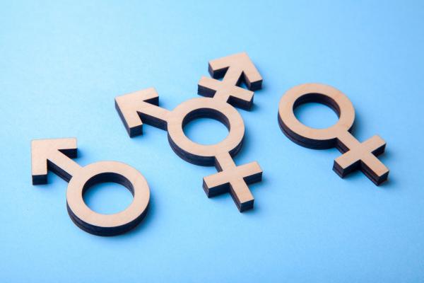 SDC Dr Rich Blonna Gender Sexual Identity Orientation Continuum