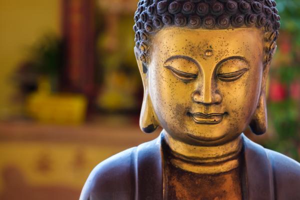 SDC Katherine Kayteezee Zitterbart Healing Tao Taoism Tantra Meditation Mental Health SDC Katherine Kayteezee Zitterbart Healing Tao Taoism Tantra Meditation Mental Health