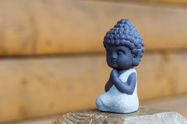 SDC Dr Ava Cadell Meditation Reparenting Self Introspection Healing SDC Dr Ava Cadell Meditation Reparenting Self Introspection Healing