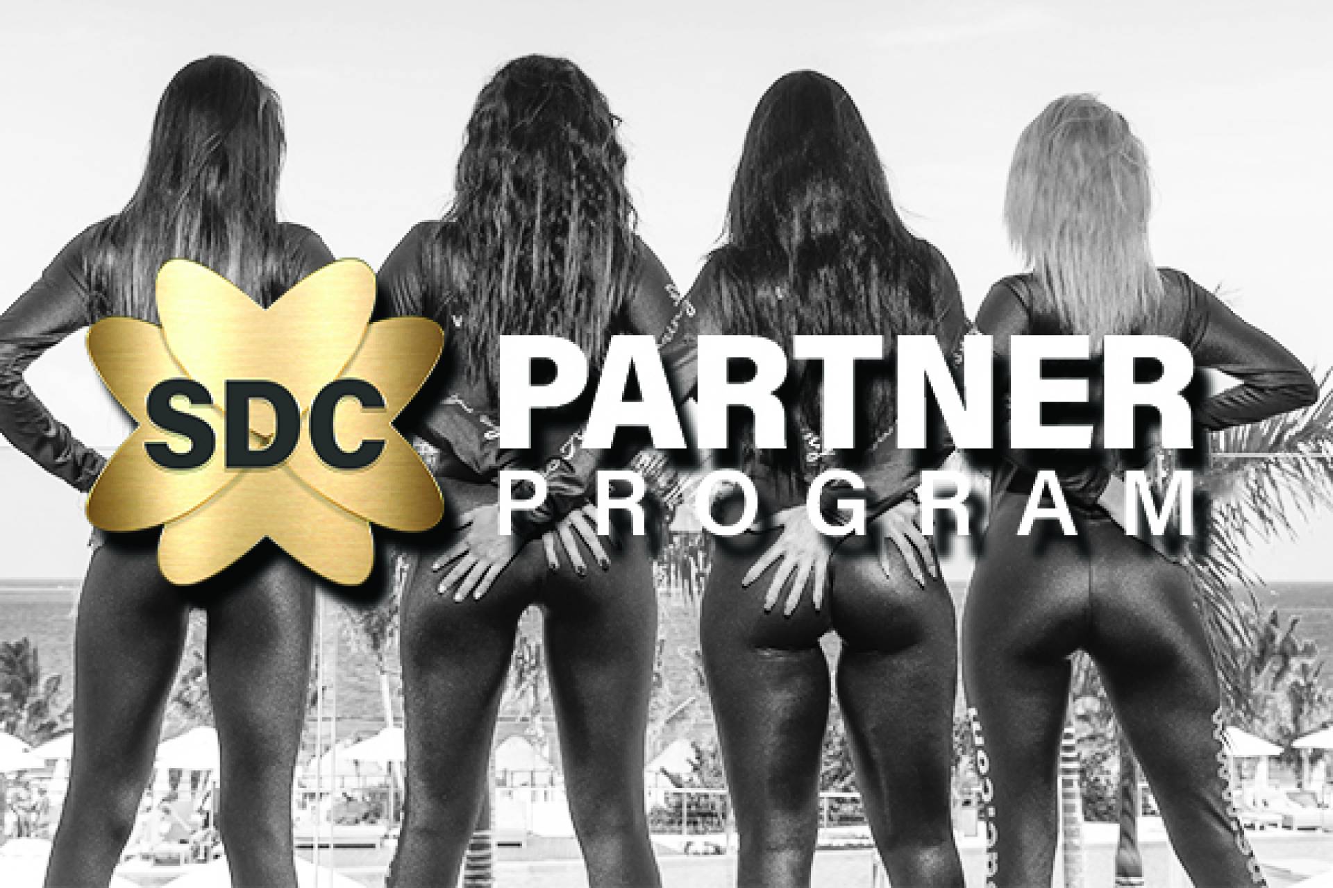 SDC Partner Program