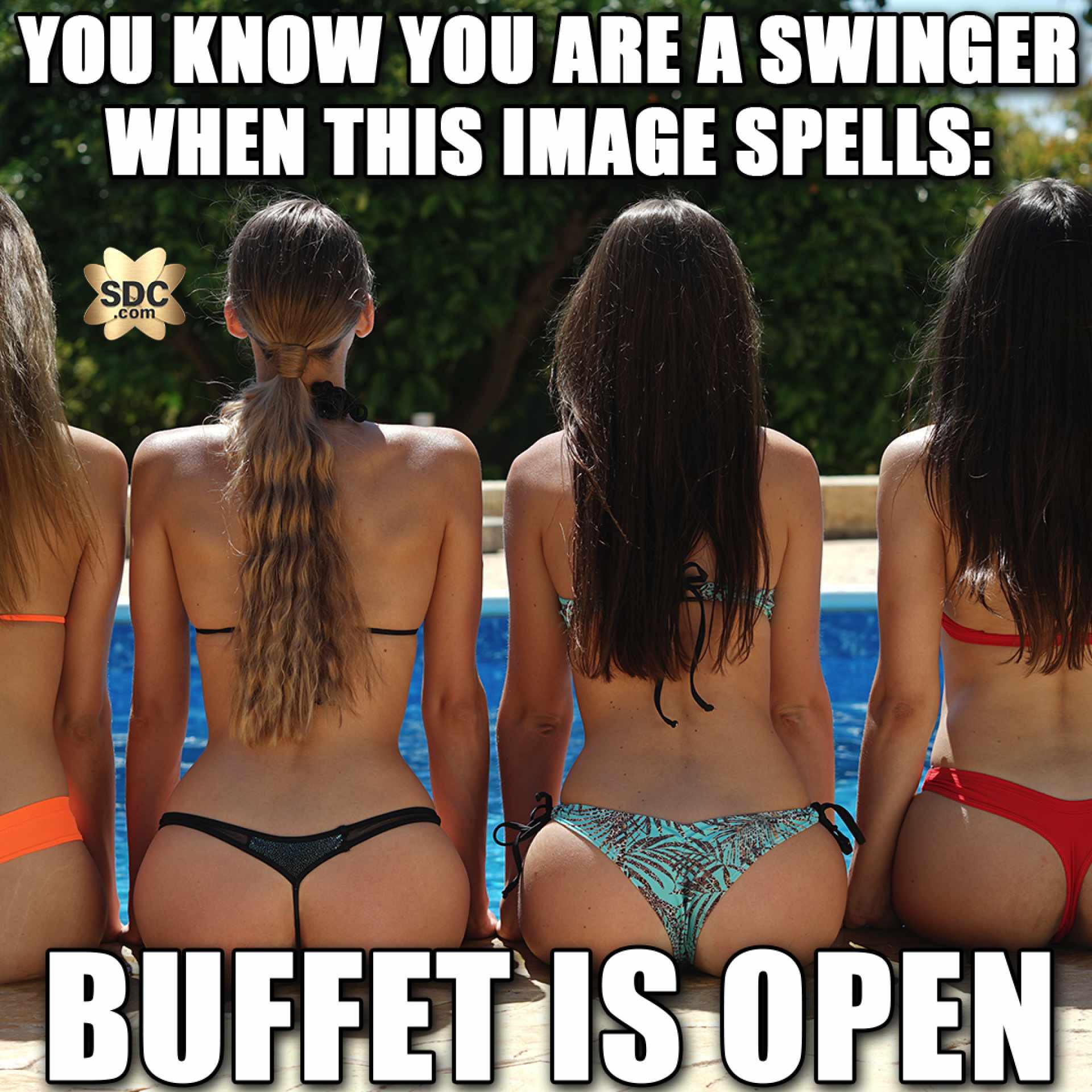 SDC Swingers Memes Sex Adult Humor