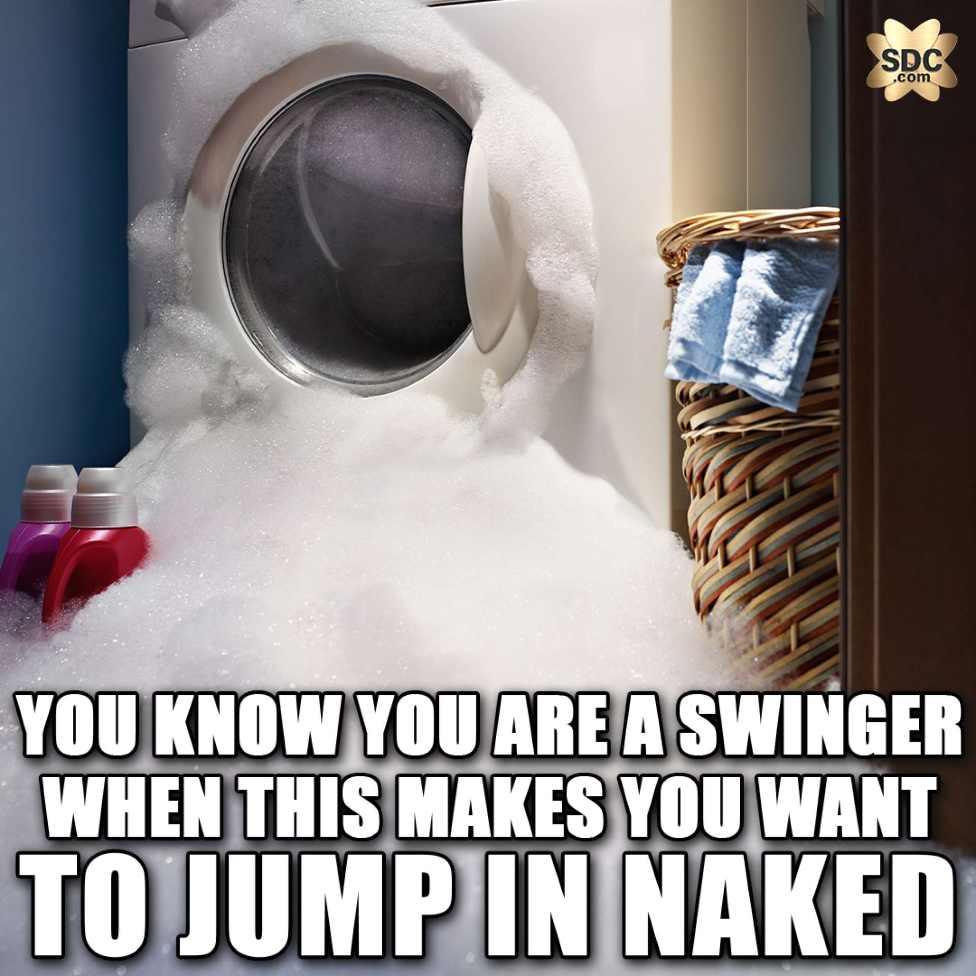SDC Swingers Memes Sex Adult Humor