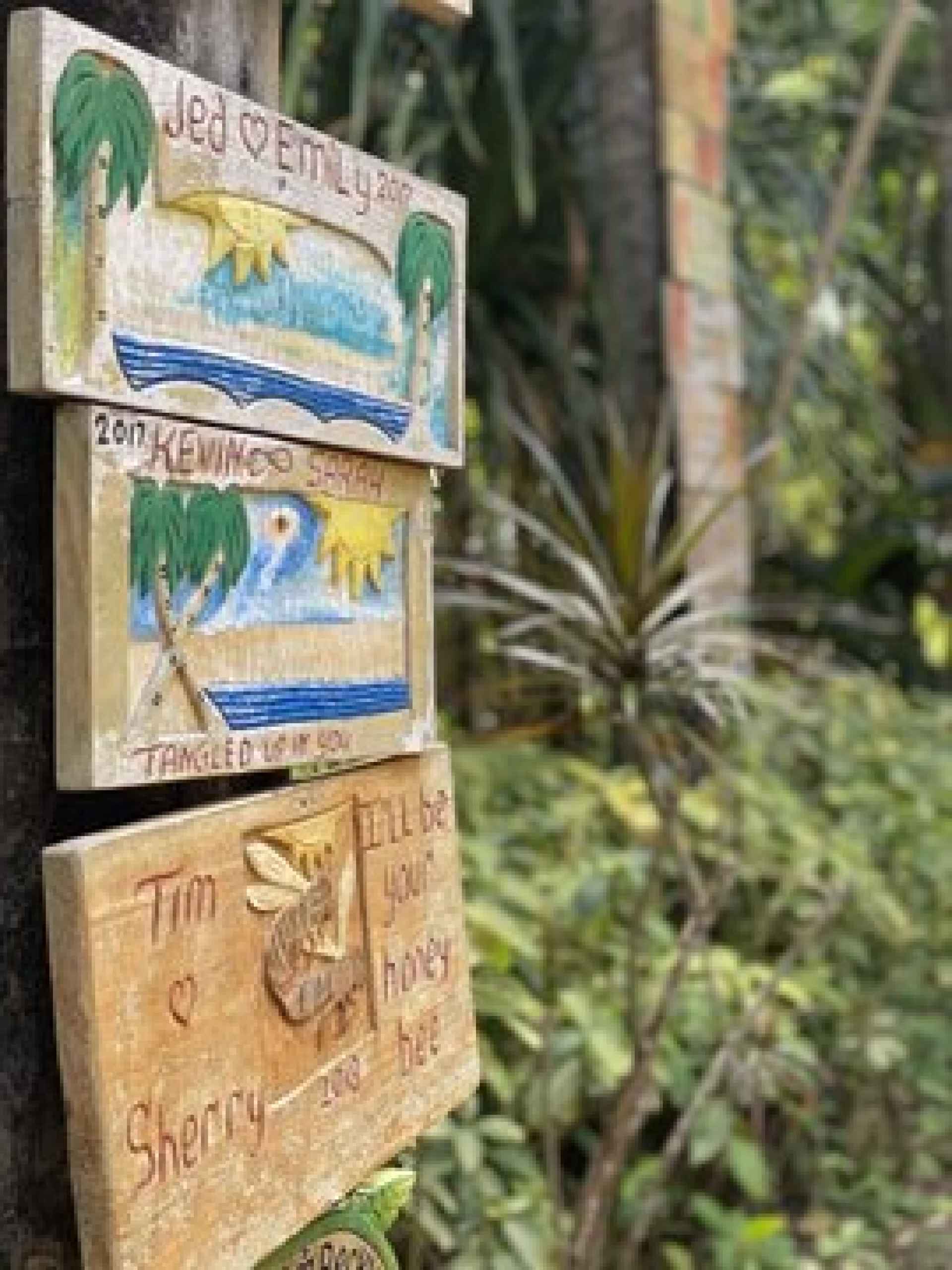 Hedo II Cautiously Reopen Amid COVID-19