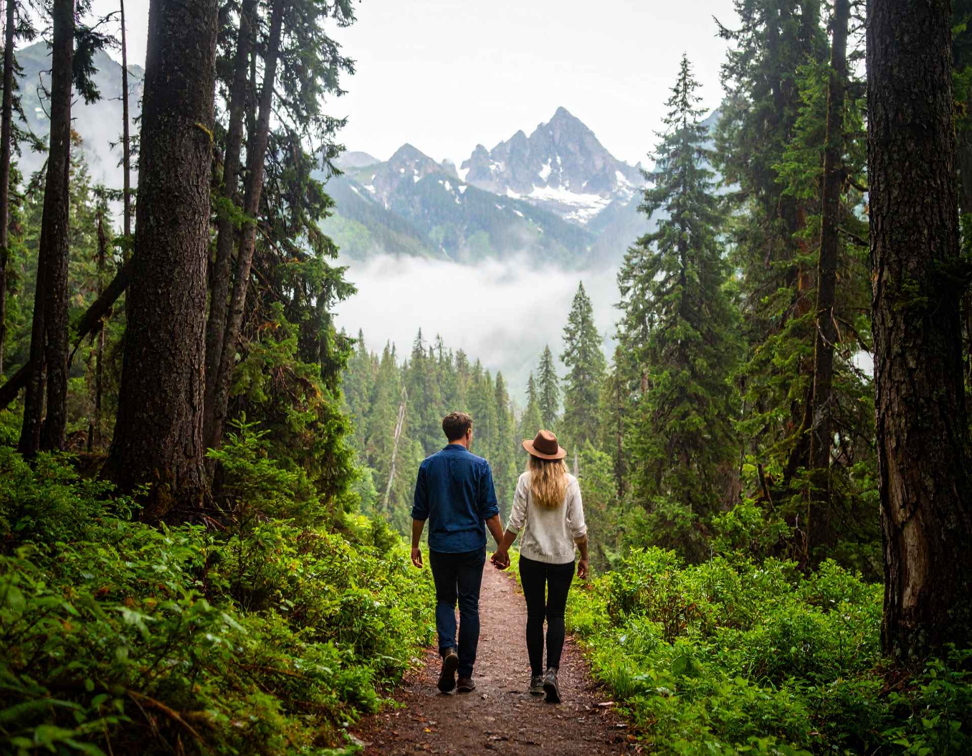 couple holding hands while walking through a forest with mountains in the background couple holding hands while walking through a forest with mountains in the background