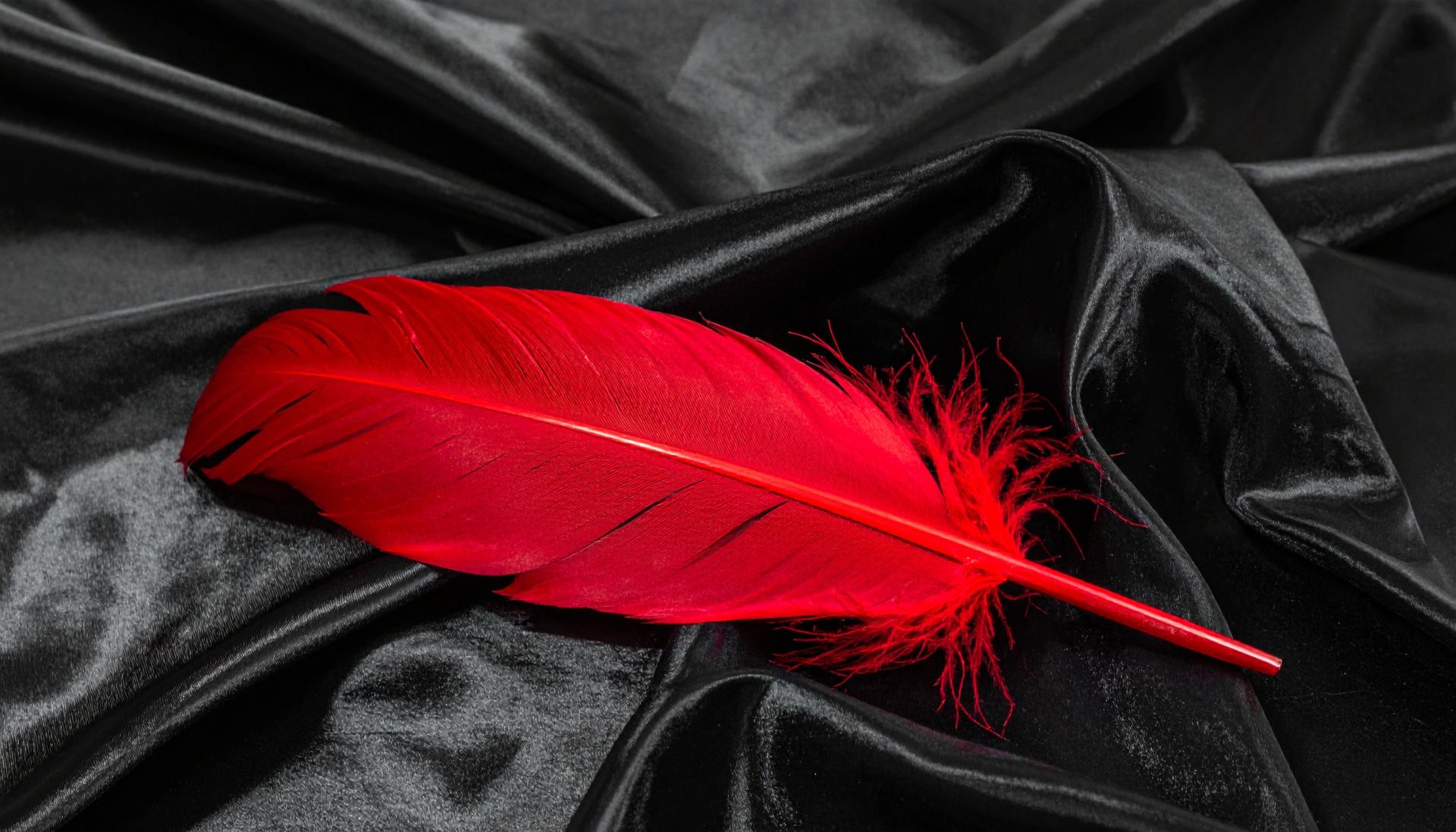 large red feather on a black satin sheet