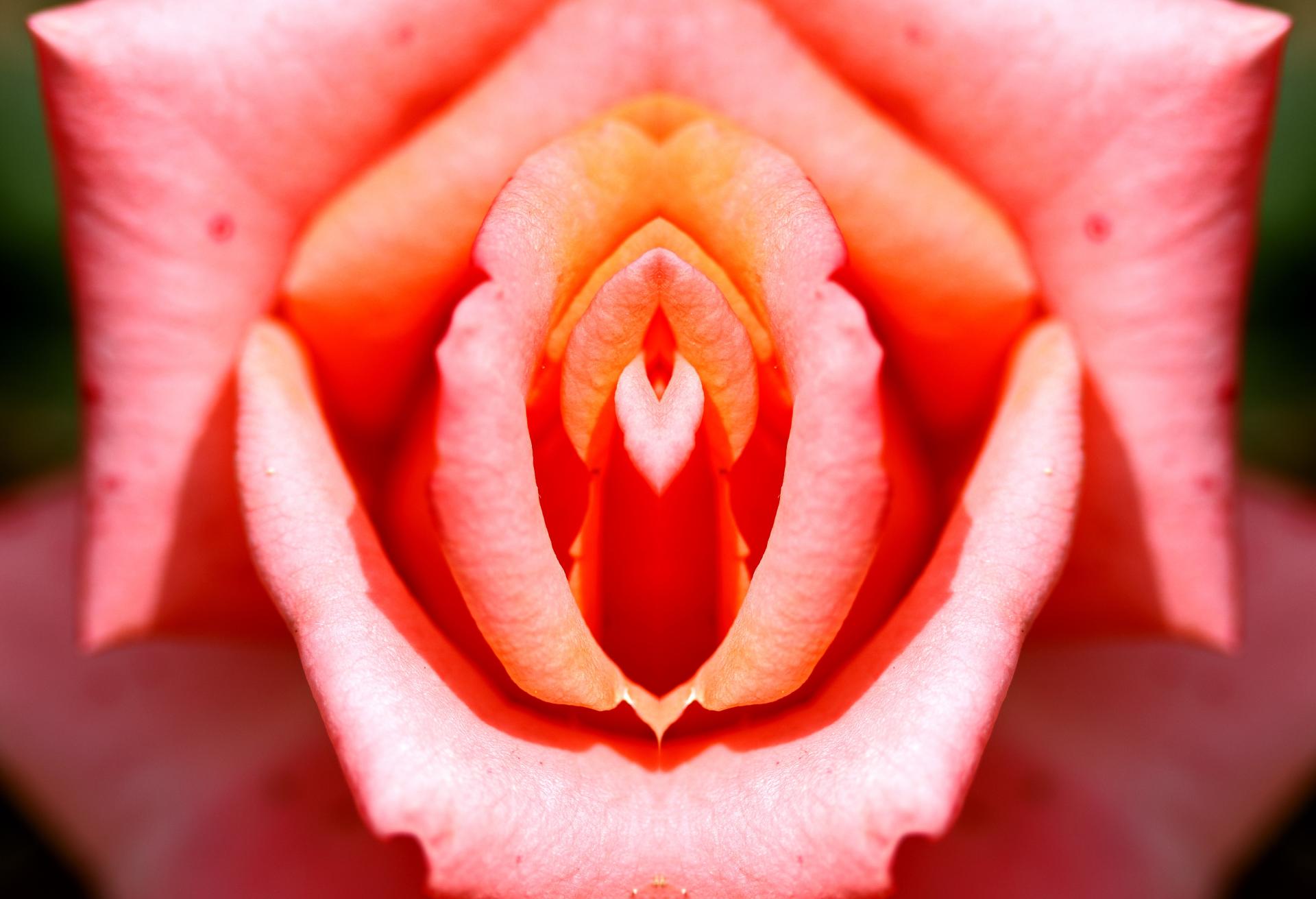 Labios grandes o pequeños, ¡ambos son muy normales!