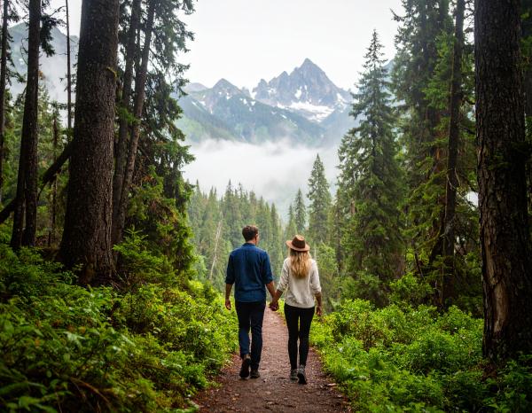 couple holding hands while walking through a forest with mountains in the background couple holding hands while walking through a forest with mountains in the background