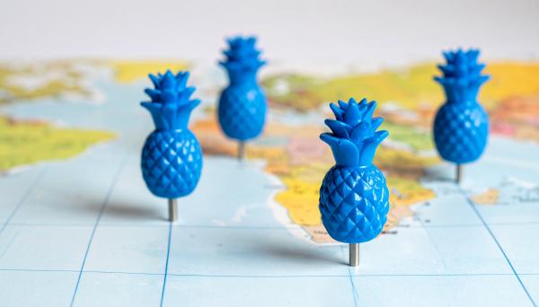 blue pineapple-shaped pins on a world map blue pineapple-shaped pins on a world map