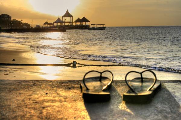 SDC Chris Santilli Jamaica Hedonism 2 Nude Beach Resort Pool Swingers Lifestyle Destination