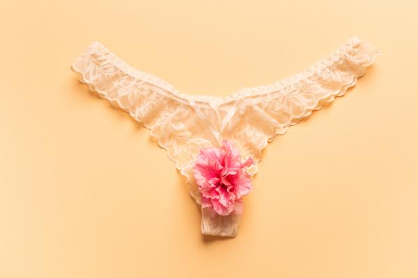beige panties with a flower over the crotch