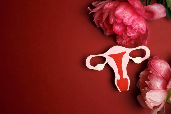 model of a vagina against a red background with pink and red flowers